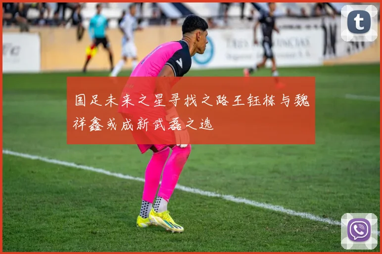 国足未来之星寻找之路王钰栋与魏祥鑫或成新武磊之选